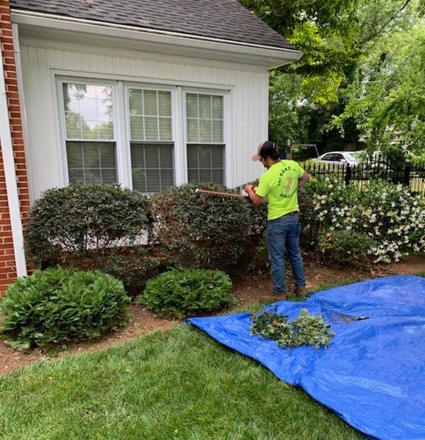 Picture mulch delivery leaf removal snow removal hickory nc